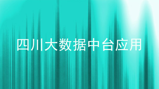 四川大数据中台应用
