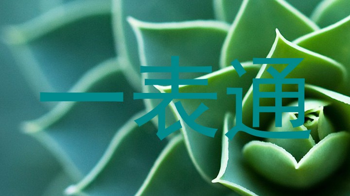 一表通