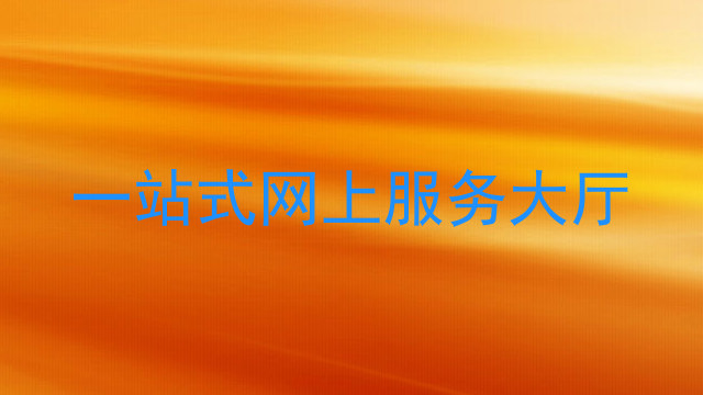 一站式网上服务大厅
