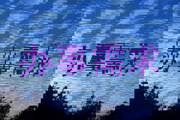 办事需求