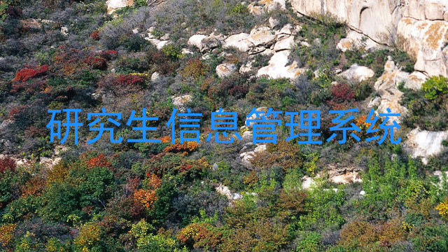 研究生信息管理系统