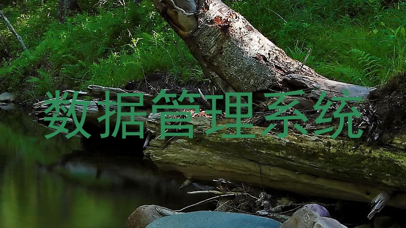 数据管理系统
