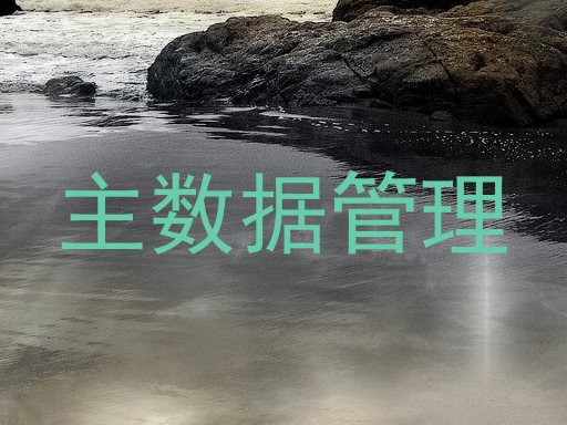 主数据管理