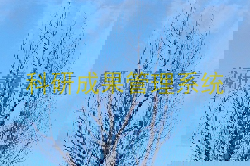 科研成果管理系统
