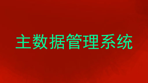 主数据管理系统