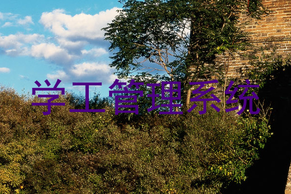 学工管理系统