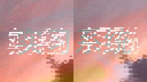 实习系统