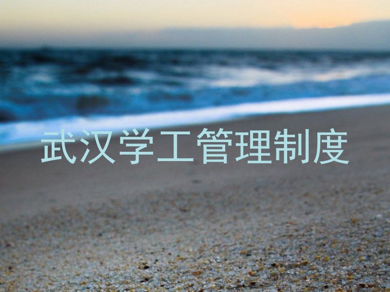 武汉学工管理制度