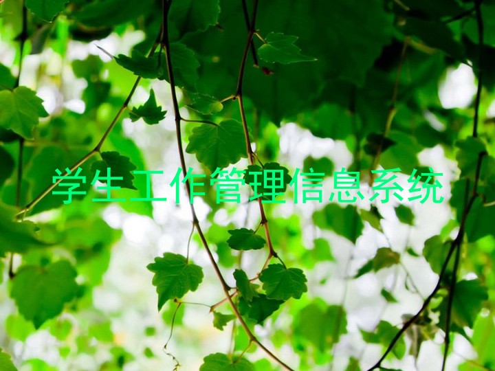学生工作管理信息系统