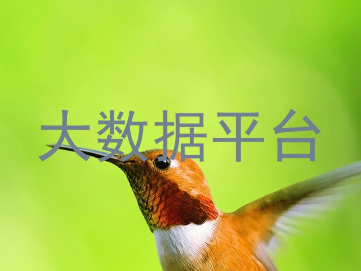 大数据平台