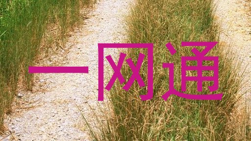 一网通