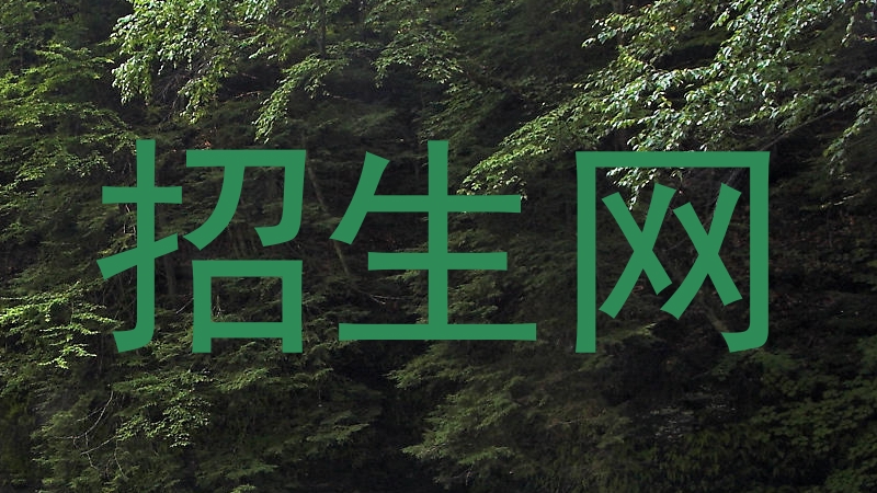 招生网