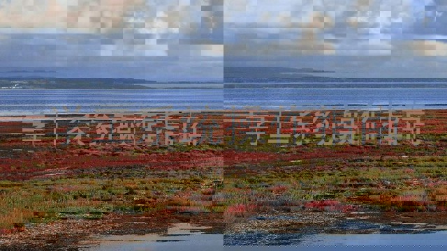 学工系统操作指南