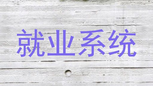 就业系统