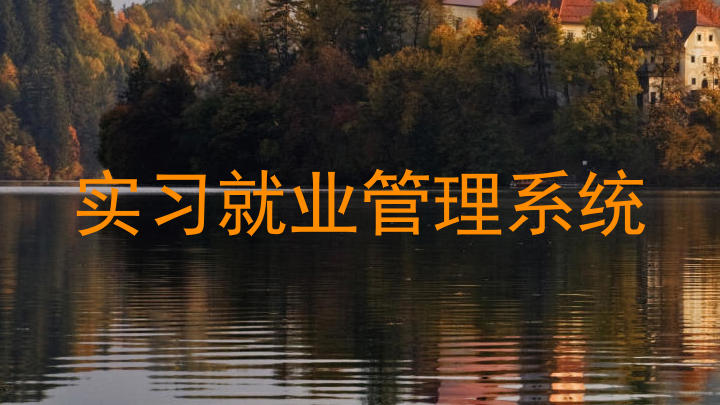 实习就业管理系统
