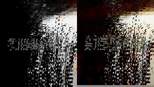 实训管理系统特点