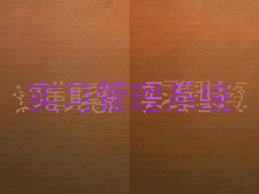 实习管理系统