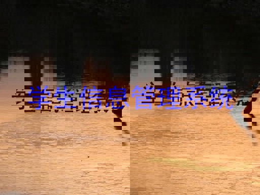 学生信息管理系统