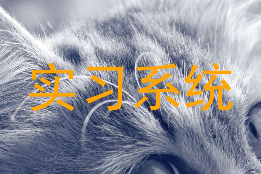 实习系统