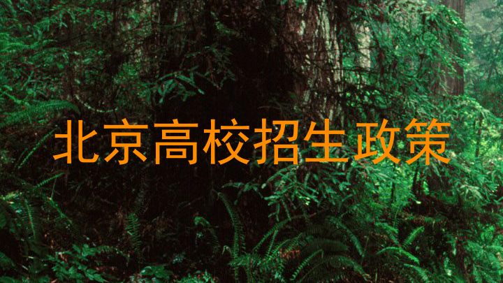 北京高校招生政策