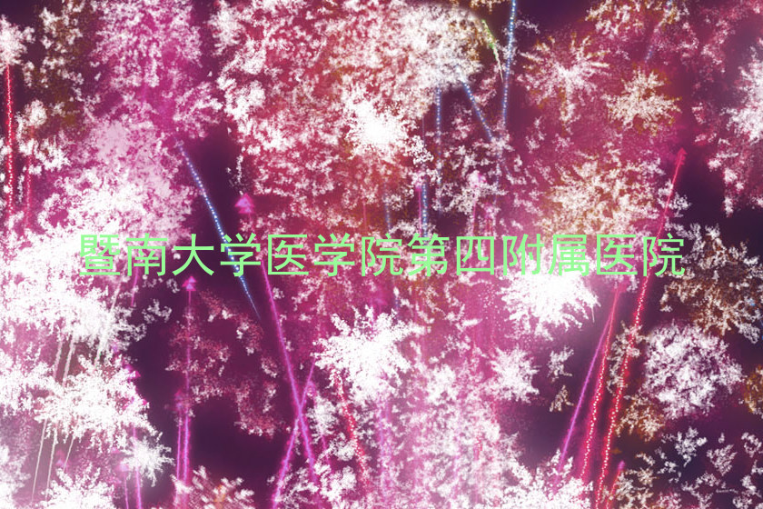 暨南大学医学院第四附属医院