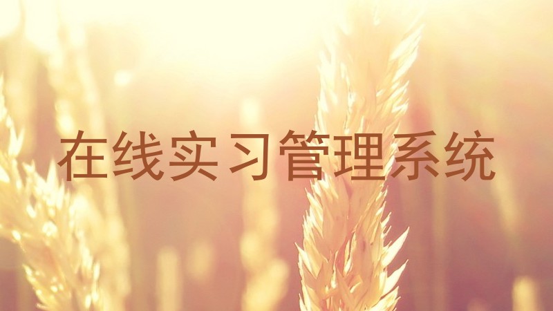 在线实习管理系统
