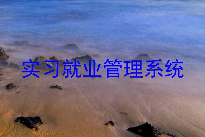 实习就业管理系统