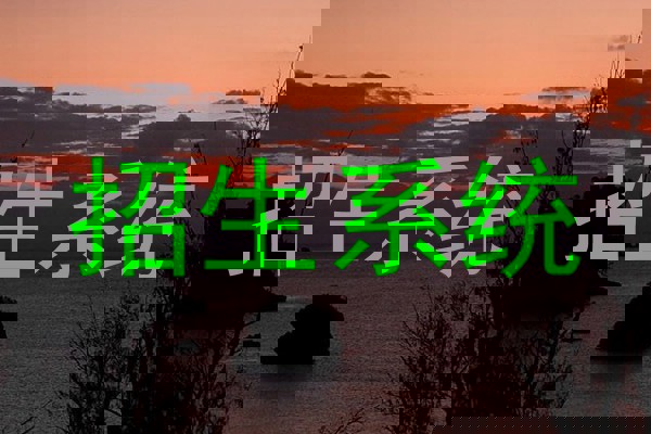招生系统