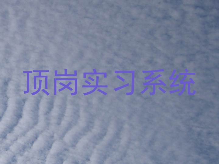 顶岗实习系统
