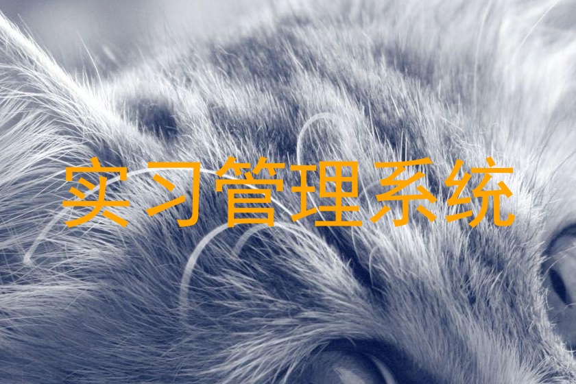 实习管理系统