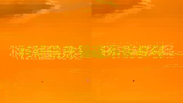 科研信息管理系统教程
