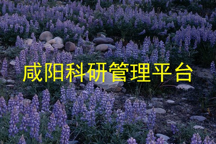 咸阳科研管理平台