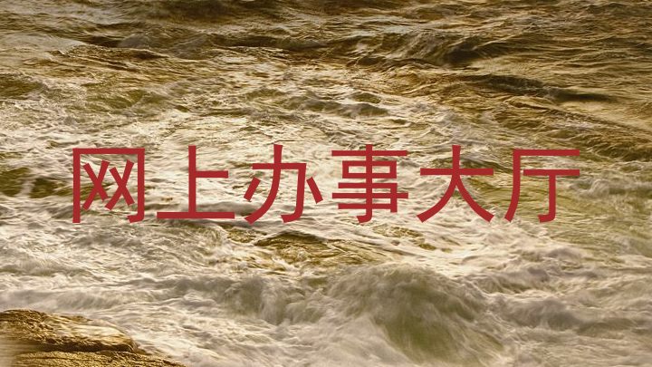 网上办事大厅