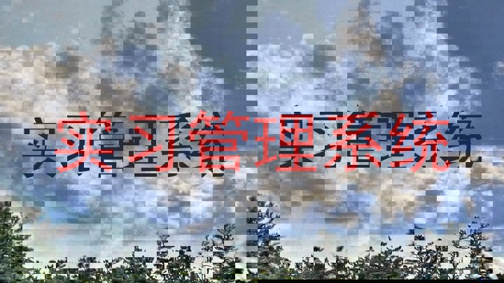 实习管理系统