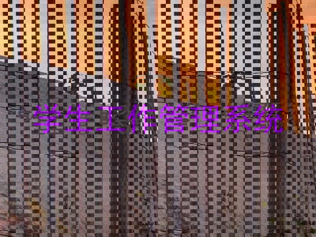 学生工作管理系统