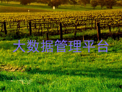 大数据管理平台