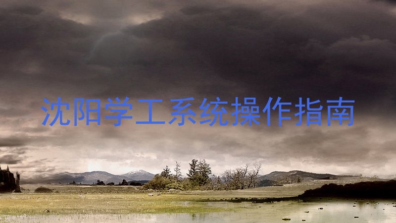 沈阳学工系统操作指南