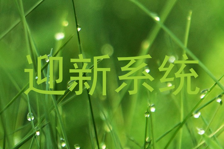 迎新系统