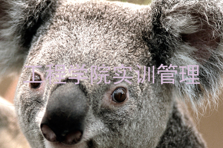 工程学院实训管理