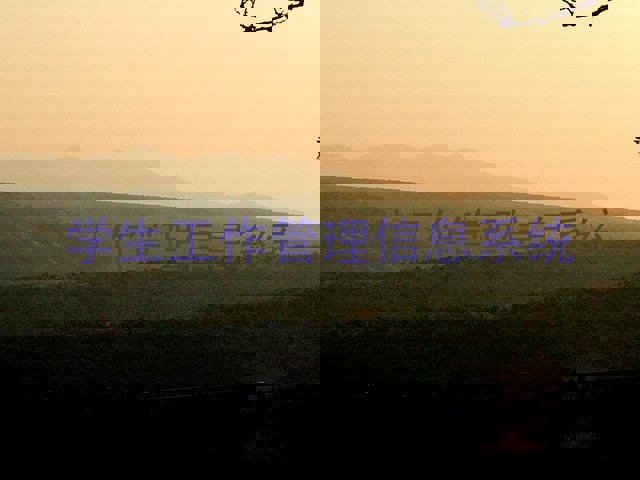 学生工作管理信息系统