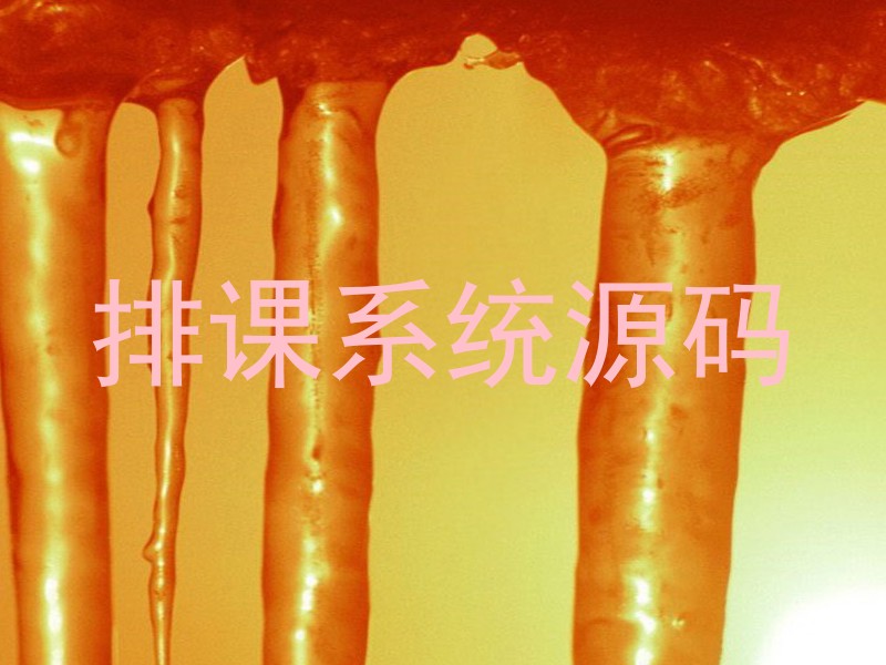 排课系统源码