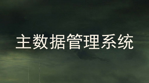 主数据管理系统
