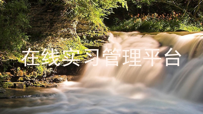 在线实习管理平台
