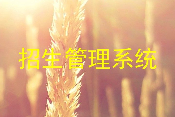 招生管理系统