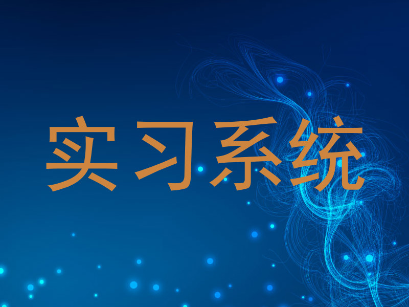 实习系统