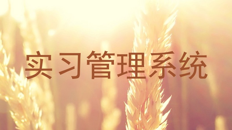 实习管理系统