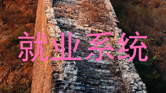 就业系统