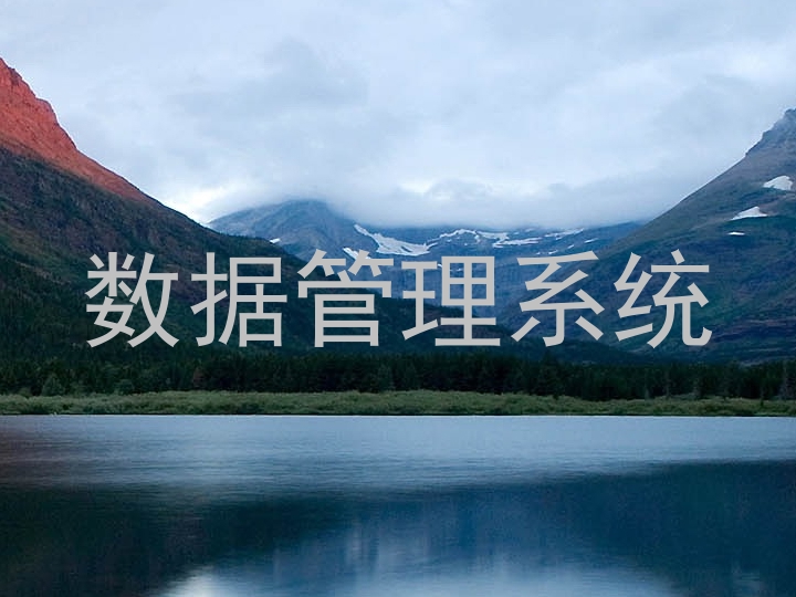 数据管理系统
