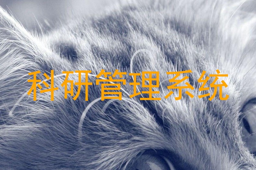 科研管理系统