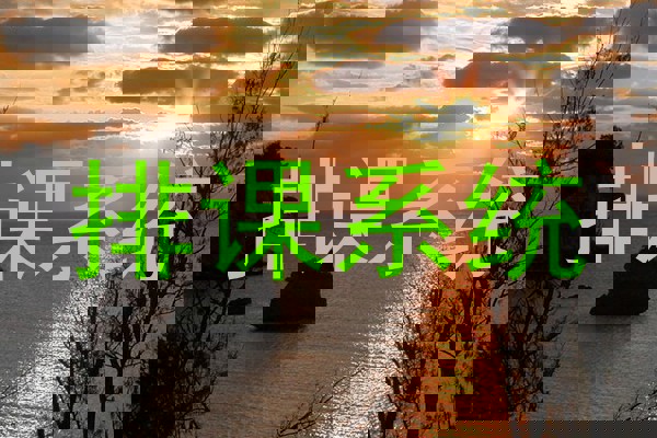 排课系统